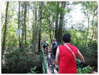 /album/fotogalerie-kola-2014/kola-2014-trebon-029-jpg/